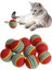 Ofine® Gökkuşağı Sünger Kedi Köpek Çiğneme Oyun Topu 4,2 cm 3'lü 3