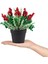 3’lü Set Mini Siyah Plastik Saksıda Karlı Kokinalı Yapay Yılbaşı Çiçeği 4