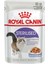 Sterilised Jelly Kedi Konservesi 85 gr x 12 Adet 1