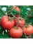 Tacir Ticaret - Açık Pembe Manitabo Domates Tohumu 20 Tohum 1
