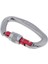 25KN Vida Kilidi D Carabiner D Tırmanma Dağcılık Rappelling Için Tip 1