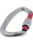 25KN Vida Kilidi D Carabiner D Tırmanma Dağcılık Rappelling Için Tip 4