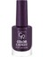 Color Expert Nail Lacquer NO:422 1