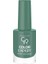 Color Expert Nail Lacquer NO:408 1