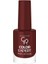Color Expert Nail Lacquer NO:419 1