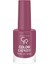 Color Expert Nail Lacquer NO:412 1
