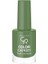 Color Expert Nail Lacquer NO:407 1