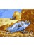 Canvas Öğle Uykusu Sayılarla Boyama Seti Rulo 70 x 90 cm 1