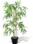 Yapay Ağaç Bambu Ağacı 2 Gövdeli Çalılı 90 x 70 cm Siyah Plastik Saksılı 1
