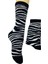 Zebra Model 2
