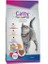 Color Mix Renkli Yetişkin Kedi Maması 1 kg 1