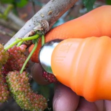 Fırsat Geldi Silikon Parmak Koruyucu Meyve Toplama Aracı Bahçe Kesme Bıçak Eldiven