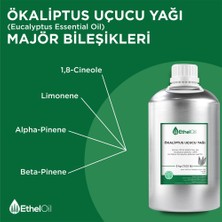 Etheloil Ökaliptus Uçucu Yağı - Etheloil - 5 kg - %100 Saf ve Doğal Uçucu Yağ -Üretici Firma, Yüksek Kalite, Toptan Satış - Eucalyptus Essential Oil - Eucalyptus Globulus Labill.