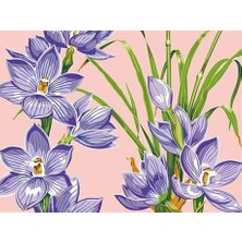 Womb Hobby Tatlı Çiçekler Sayılarla Boyama Seti 40 x 50 cm Tuval Şasesine Gerili
