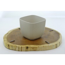 EminHome 2 No Mercan Kare Saksı 11 x 11 x 9.5 cm 0.67 Lt