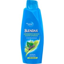 Blendax  Blendax Bitki Özlü Şampuan 500 ml  Şampuan