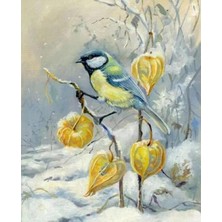 Parla Kış ve Kuş Sayılarla Boyama Seti Kasnaklı 40 x 50 cm