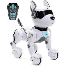 Uzaktan Kumanda Robot Köpek Oyuncak, Rc Köpek Robot Oyuncaklar Smart  Dans Robot Oyuncak, Rc Hayvanlar Konuşuyor