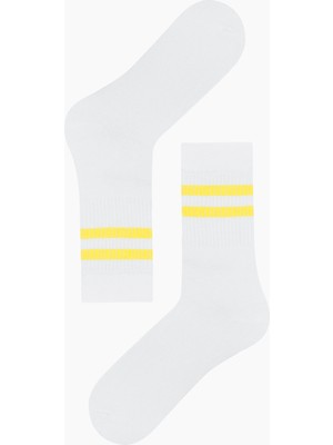 Bross Bross 3lü Koncu Derbili Renkli Çemberli Erkek Çorabı