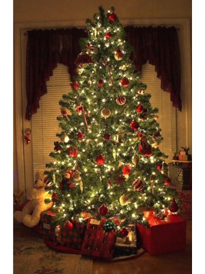 Newstore Home 100 Ledli Günışığı Renkli 10 mt LED Yılbaşı Ağaç Süsü