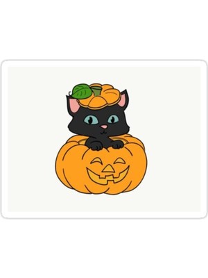 Zobar Markt Siyah  Kedi Sticker
