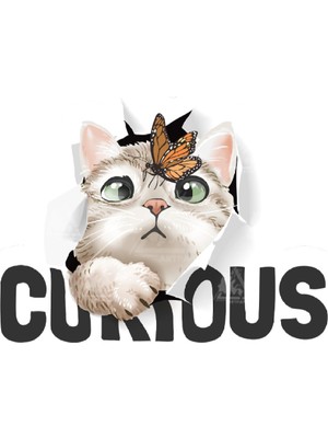 Zobar Markt Meraklı Kedi Sticker