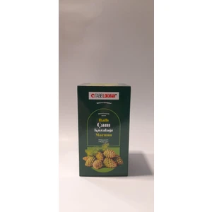 Tabib Lokman Çam Kozalağı Macunu 480 gr