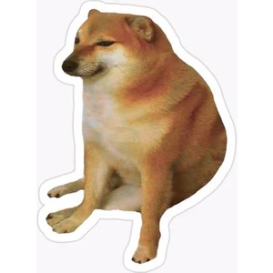 Zobar Markt Zobarmarkt Köpek Temalı Defter Ajanda Planner Laptop Sticker, 5 cm