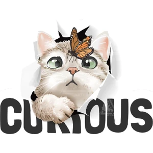 Zobar Markt Meraklı Kedi Sticker