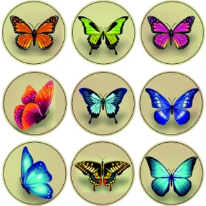 Zobar Markt Kelebek Sticker