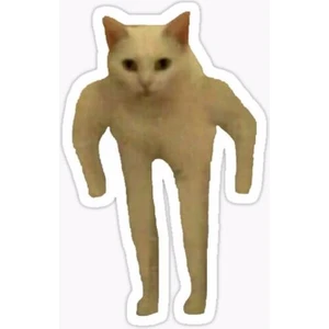 Zobar Markt Zobarmarkt Kedi Baskılı Defter Ajanda Planner Laptop Sticker, 5 cm