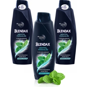 Erkek Mentol Ferahlığı Şampuan 500  ml x 3 Adet