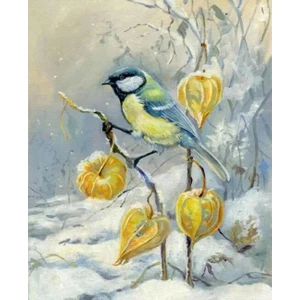 Kış ve Kuş Sayılarla Boyama Seti Kasnaklı 40 x 50 cm