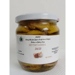 Hazek Kadın Kooperatifi Zeytinyağında Incir