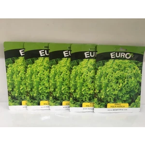 Kışlık Kıvırcık Marul Tohumu 5 Adet