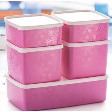 Tupperware Antartika 5'li Set Pembe Fiyatı - Taksit Seçenekleri