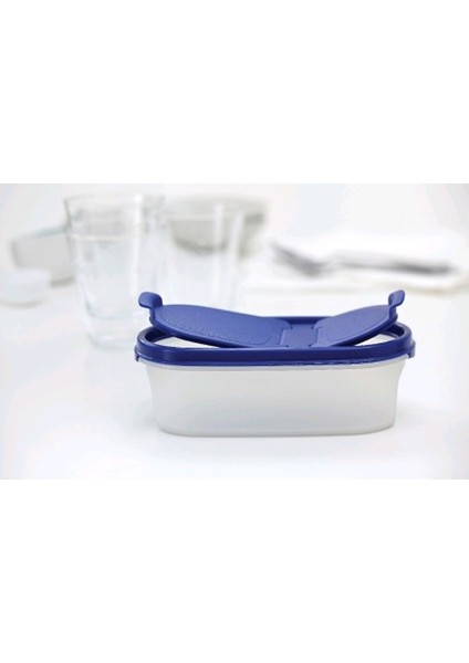 Oval 500 ml Saklama Kabı