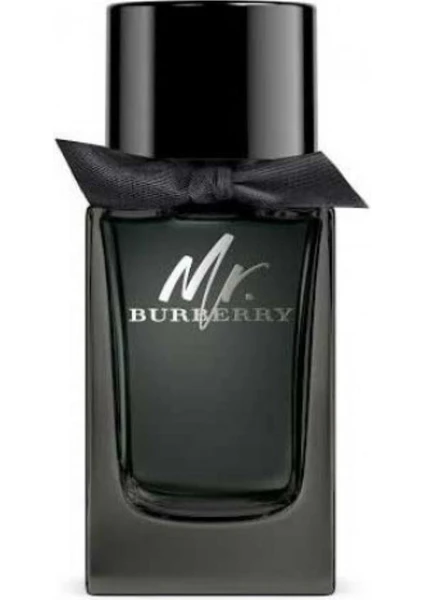 Mr Burberry Edp 100 ml Erkek Parfümü