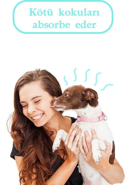 Pet Wipes Evcil Hayvanlar Için Temizlik Mendili 60 Yaprak