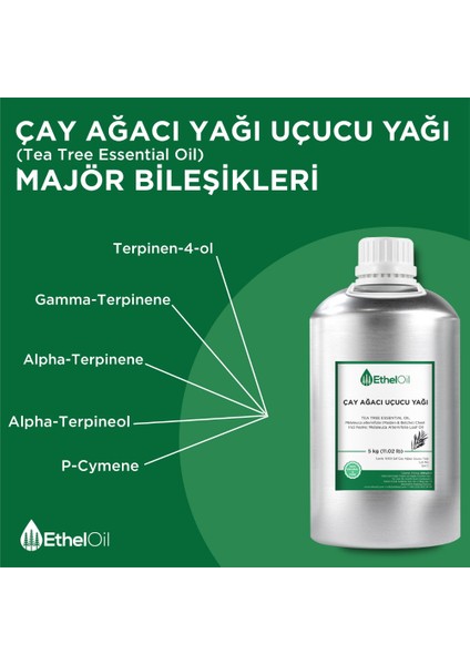 Çay Ağacı Uçucu Yağı - Etheloil - 5 kg - %100 Saf ve Doğal Uçucu Yağ - Üretici Firma, Yüksek Kalite, Toptan Satış - Tea Tree Essential Oil - Melaleuca Alternifolia (Maiden & Betche) Cheel