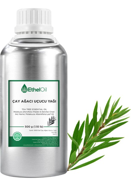 Çay Ağacı Uçucu Yağı - Etheloil - 500 gr - %100 Saf ve Doğal Uçucu Yağ - Üretici Firma, Yüksek Kalite, Toptan Satış - Tea Tree Essential Oil - Melaleuca Alternifolia (Maiden & Betche) Cheel