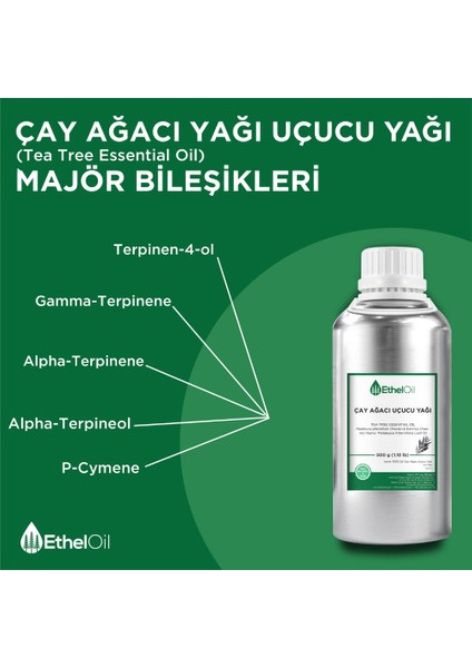 Çay Ağacı Uçucu Yağı - Etheloil - 500 gr - %100 Saf ve Doğal Uçucu Yağ - Üretici Firma, Yüksek Kalite, Toptan Satış - Tea Tree Essential Oil - Melaleuca Alternifolia (Maiden & Betche) Cheel fırsatları