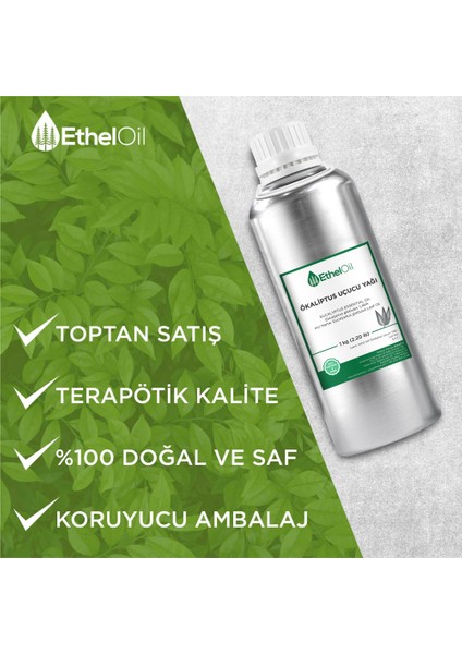 Ökaliptus Uçucu Yağı - Etheloil - 1 kg - %100 Saf ve Doğal Uçucu Yağ -Üretici Firma, Yüksek Kalite, Toptan Satış - Eucalyptus Essential Oil - Eucalyptus Globulus Labill.