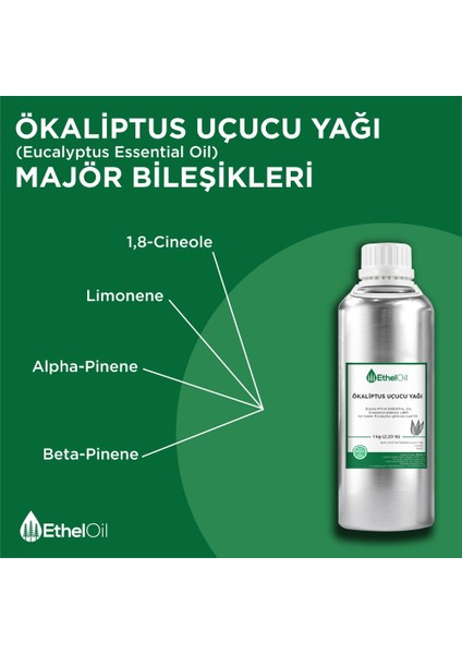 Ökaliptus Uçucu Yağı - Etheloil - 1 kg - %100 Saf ve Doğal Uçucu Yağ -Üretici Firma, Yüksek Kalite, Toptan Satış - Eucalyptus Essential Oil - Eucalyptus Globulus Labill.