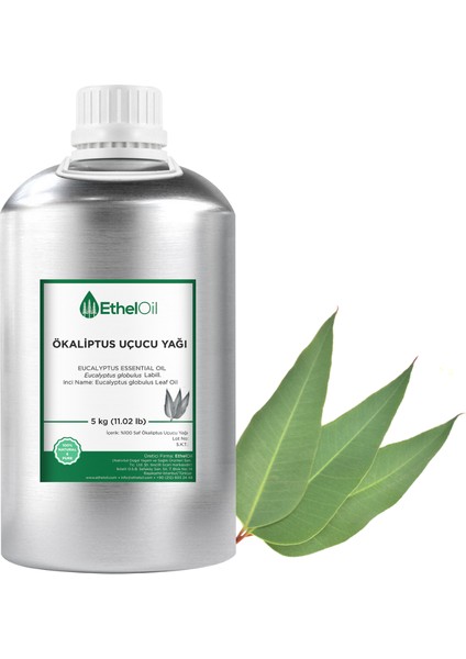 Ökaliptus Uçucu Yağı - Etheloil - 5 kg - %100 Saf ve Doğal Uçucu Yağ -Üretici Firma, Yüksek Kalite, Toptan Satış - Eucalyptus Essential Oil - Eucalyptus Globulus Labill.