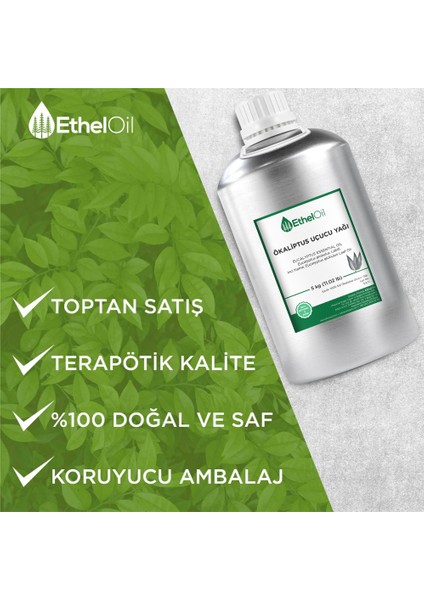 Ökaliptus Uçucu Yağı - Etheloil - 5 kg - %100 Saf ve Doğal Uçucu Yağ -Üretici Firma, Yüksek Kalite, Toptan Satış - Eucalyptus Essential Oil - Eucalyptus Globulus Labill. modelleri