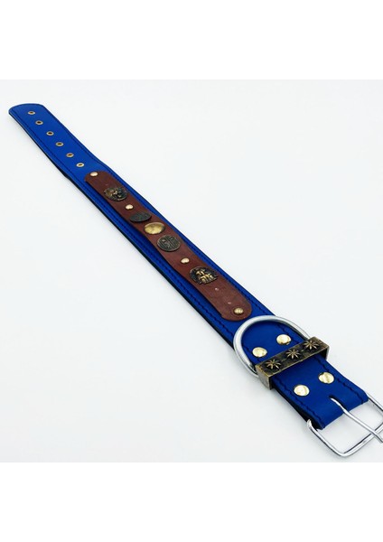 Deri Köpek Tasması Özel Tasarım Tasma fırsatları