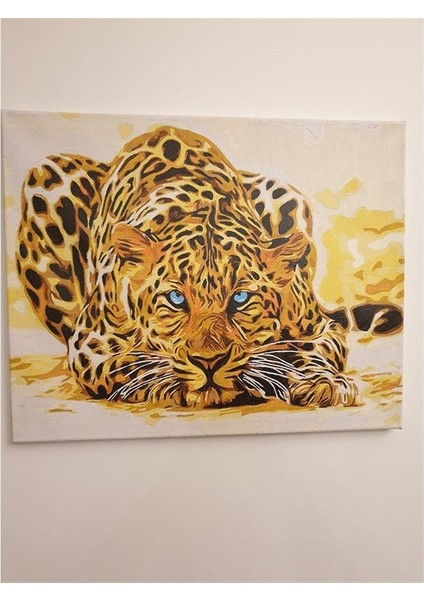 Leopar Sayılarla Boyama Seti 40 x 50 cm Tuvale Gerili fiyatları