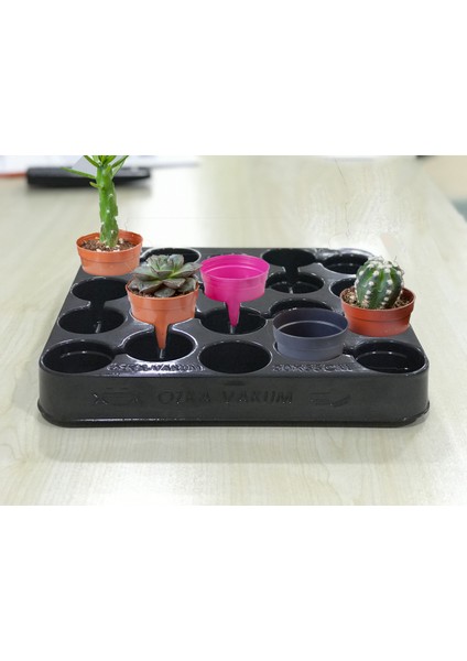 Kaktüs Taşıma Viyolü (50 Adet)