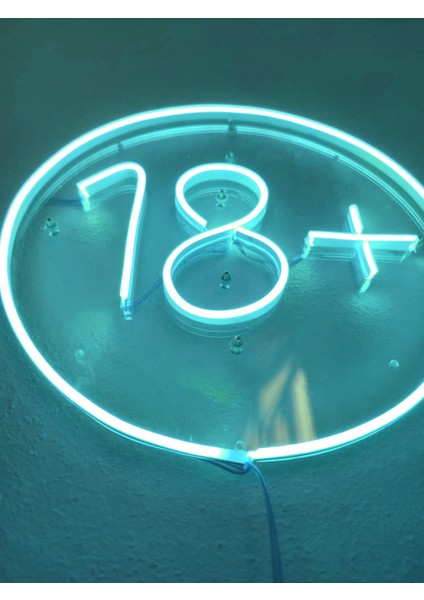 +18  Neon Şekiller Işaret Neon  LED Dekoratif Duvar Aydınlatması Neon Duvar Yazısı